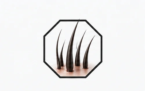 Illustration of hair strands inside an octagon outline